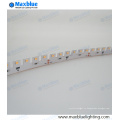 SMD2835 120LEDs / M Светодиодные полосы света